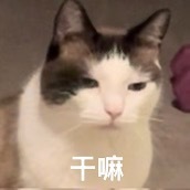 曝双顶流生的女儿每次爆料都不说名字都是模棱两可的信息ℹ️想问问有谁知道具体名字吗