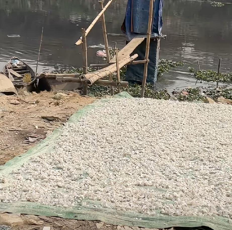 印度为什么很少灭杀蚊虫苍蝇？

去过印度的都知道，印度的蚊子和苍蝇是非常多的，印