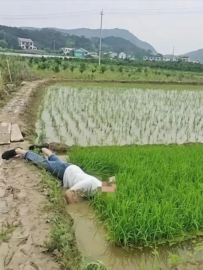 “并非谁死谁有理！”3月16日报道，四川成都一七旬大爷早起锻炼时，路过一片稻田，