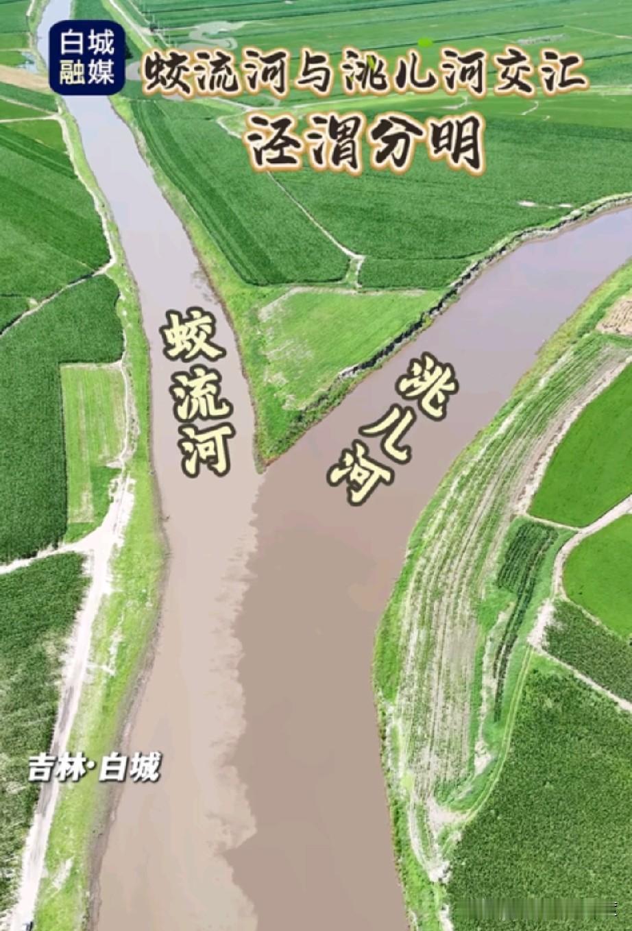 图中呈现的是近日蛟流河与洮儿河交汇的景象，两河相会之际，界限格外分明。河水奔腾而