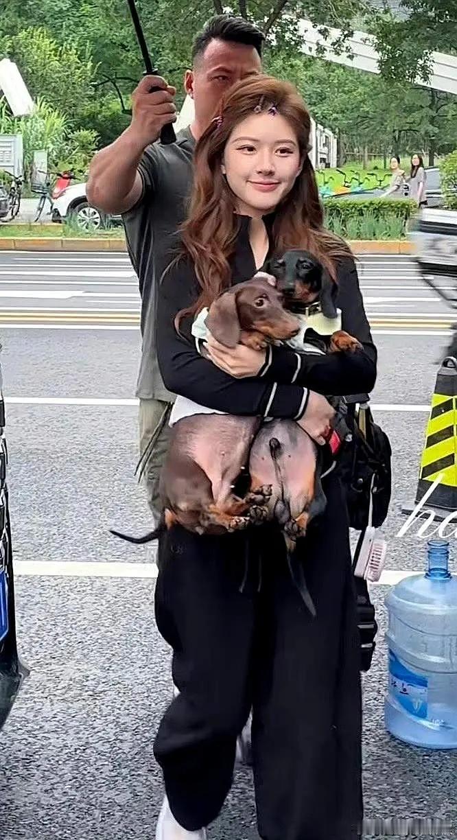 问就是爱狗但实际虐狗的小姐姐一枚呀，腊肠犬脊柱是最脆弱的，但凡是养狗的小孩都知道