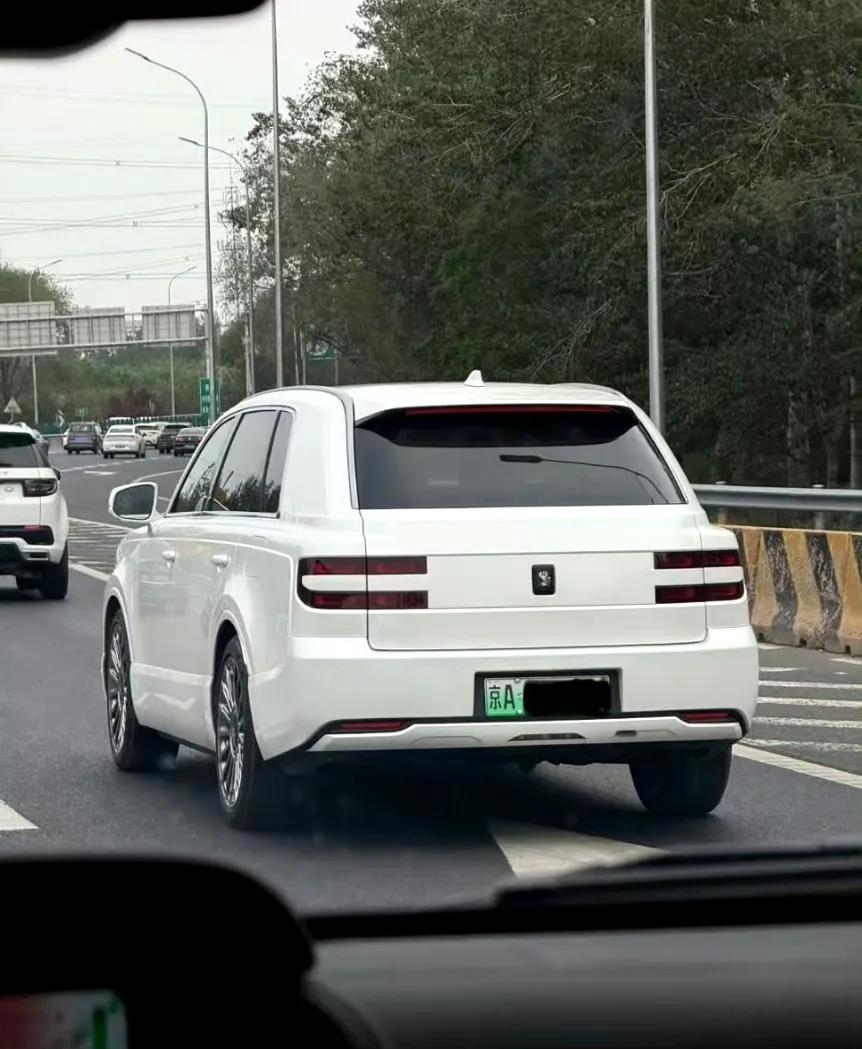 网友：这车怕是比库里南少见多了，稀缺度跟高合有的一拼吧？  ​