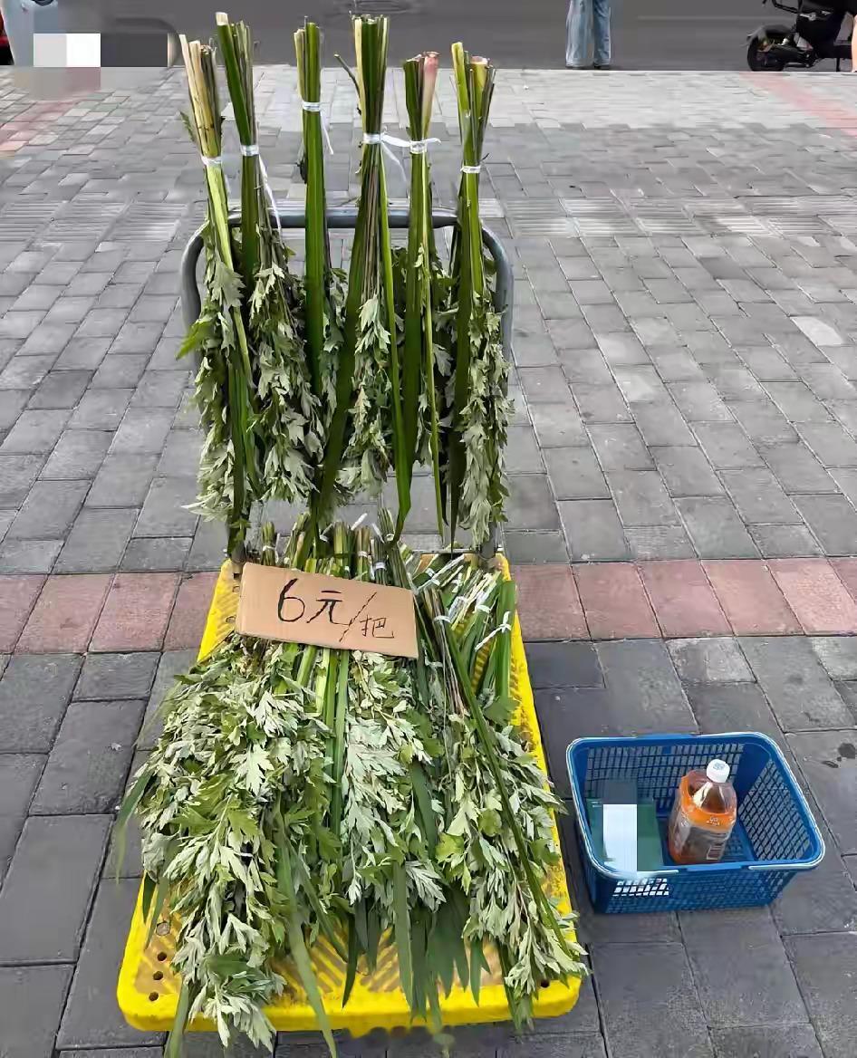端午节，网友上山割了艾草和菖蒲，早上拿去菜市场门口卖，六块一把，结果四个多小时，