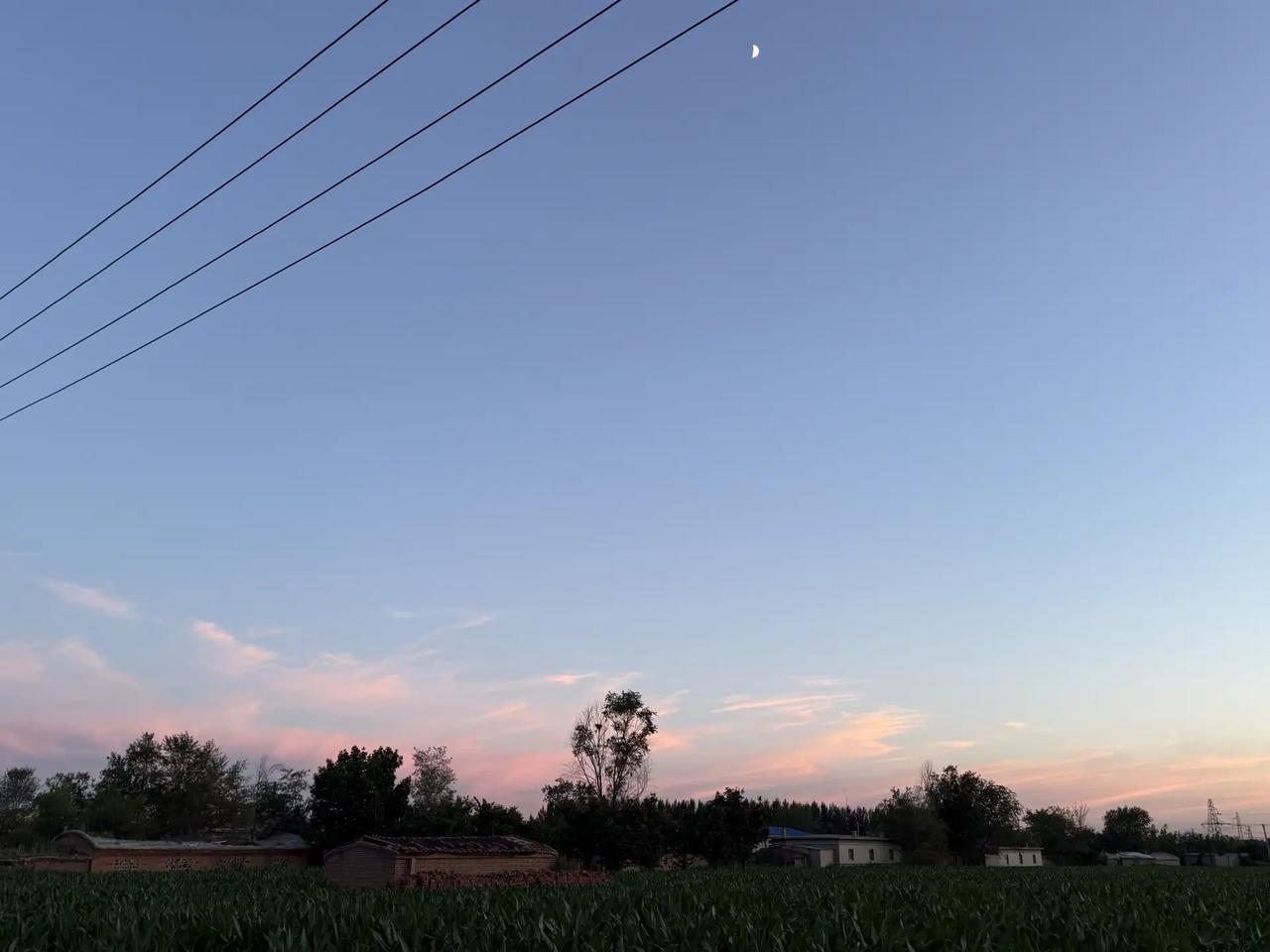 星露谷种地 菜园里的落日 新手种地 农村日常记录 农田晚霞