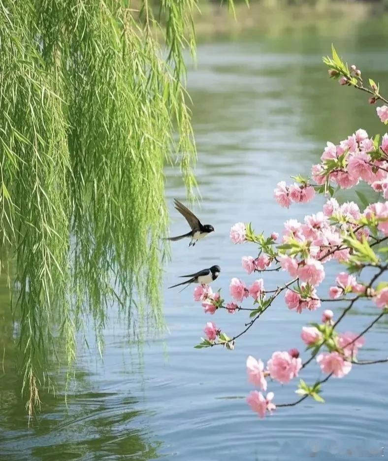 自由和快乐，才是生活的最高旨意带不走四季的风，就带走这一路的风景～五一出行天气提