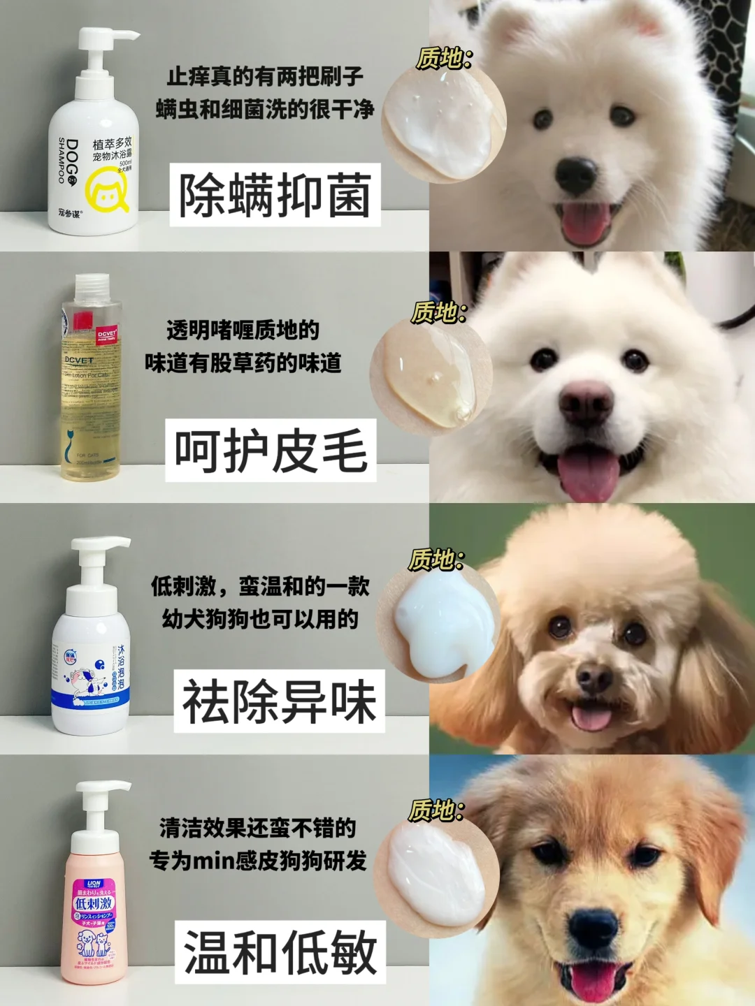 硬控十秒！被问N次的新品狗狗沐浴露分享