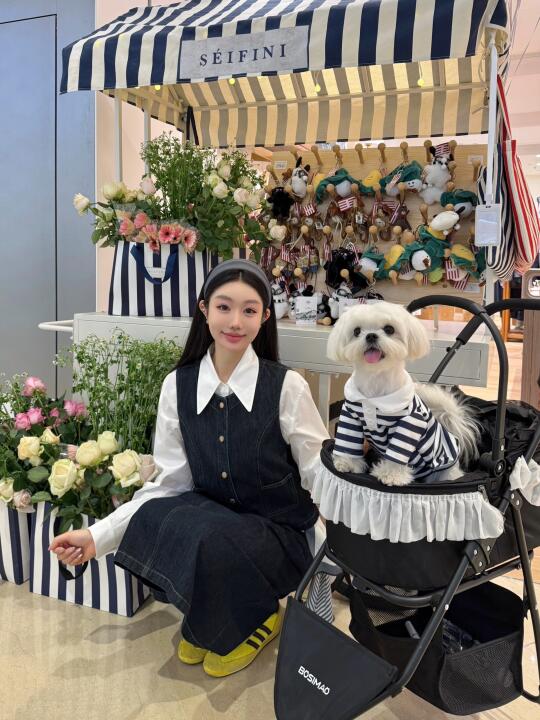 今天和小狗一起工作💐