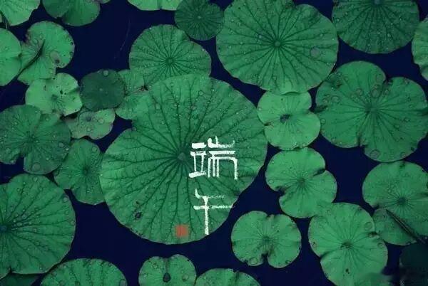 端午日赐衣     杜甫  宫衣亦有名，端午被恩荣。 细葛含风软，香罗叠雪轻。 