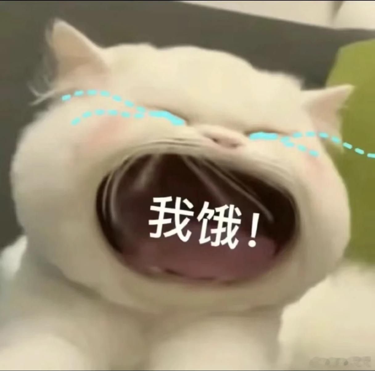 我真的快饿死了，怎么办这个点吃东西太罪恶了… 
