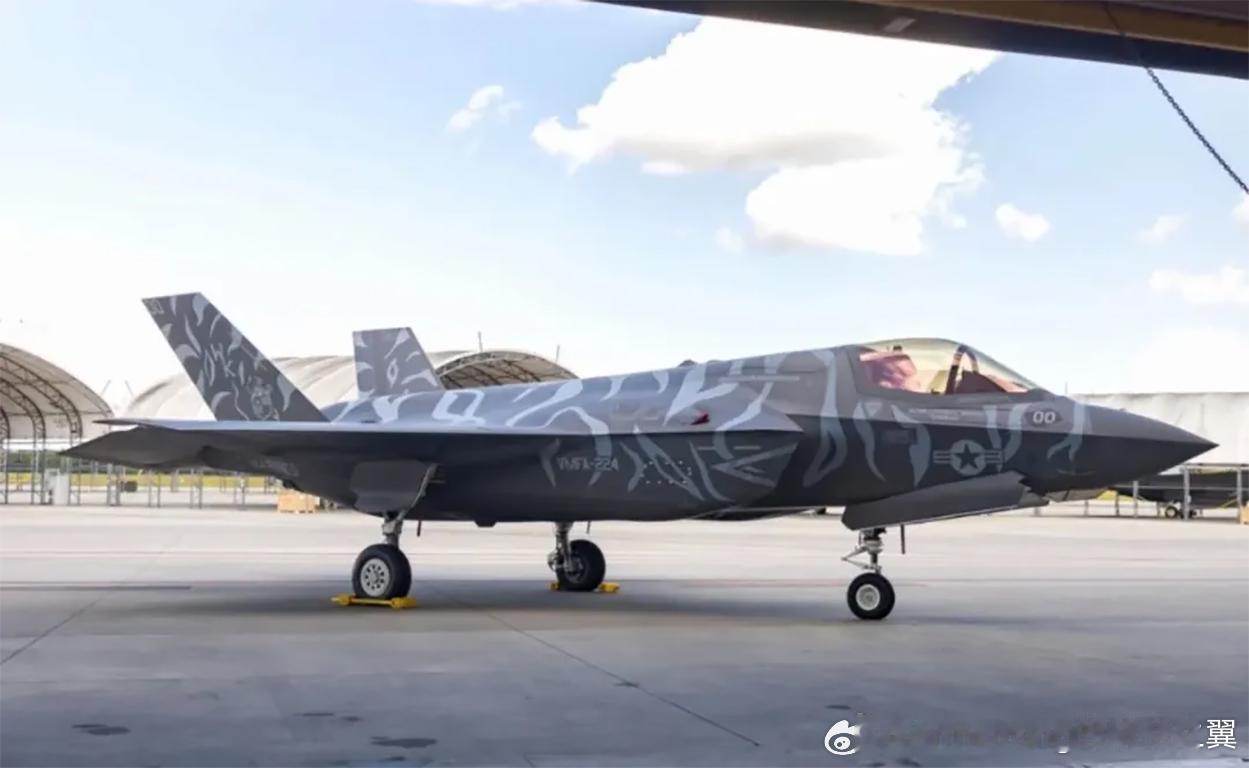 四等人VMFA-224的F-35B虎纹涂装 ​​​