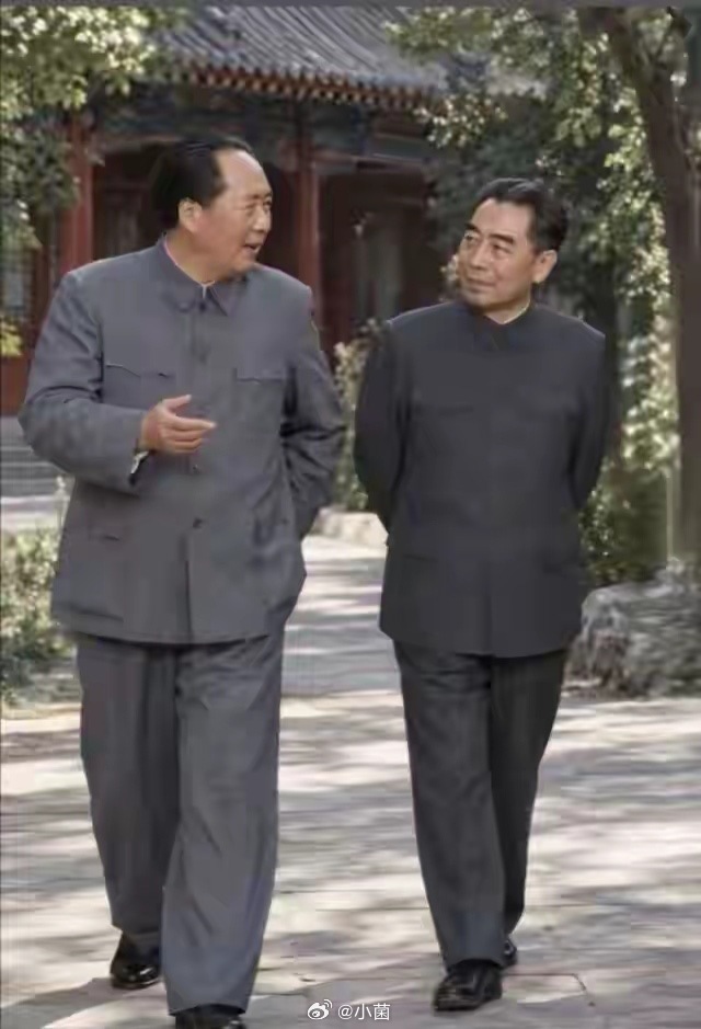 两位伟人并肩缓步，边走边倾心交谈，画面安静，却承载着厚重的历史分量，令人心生崇敬