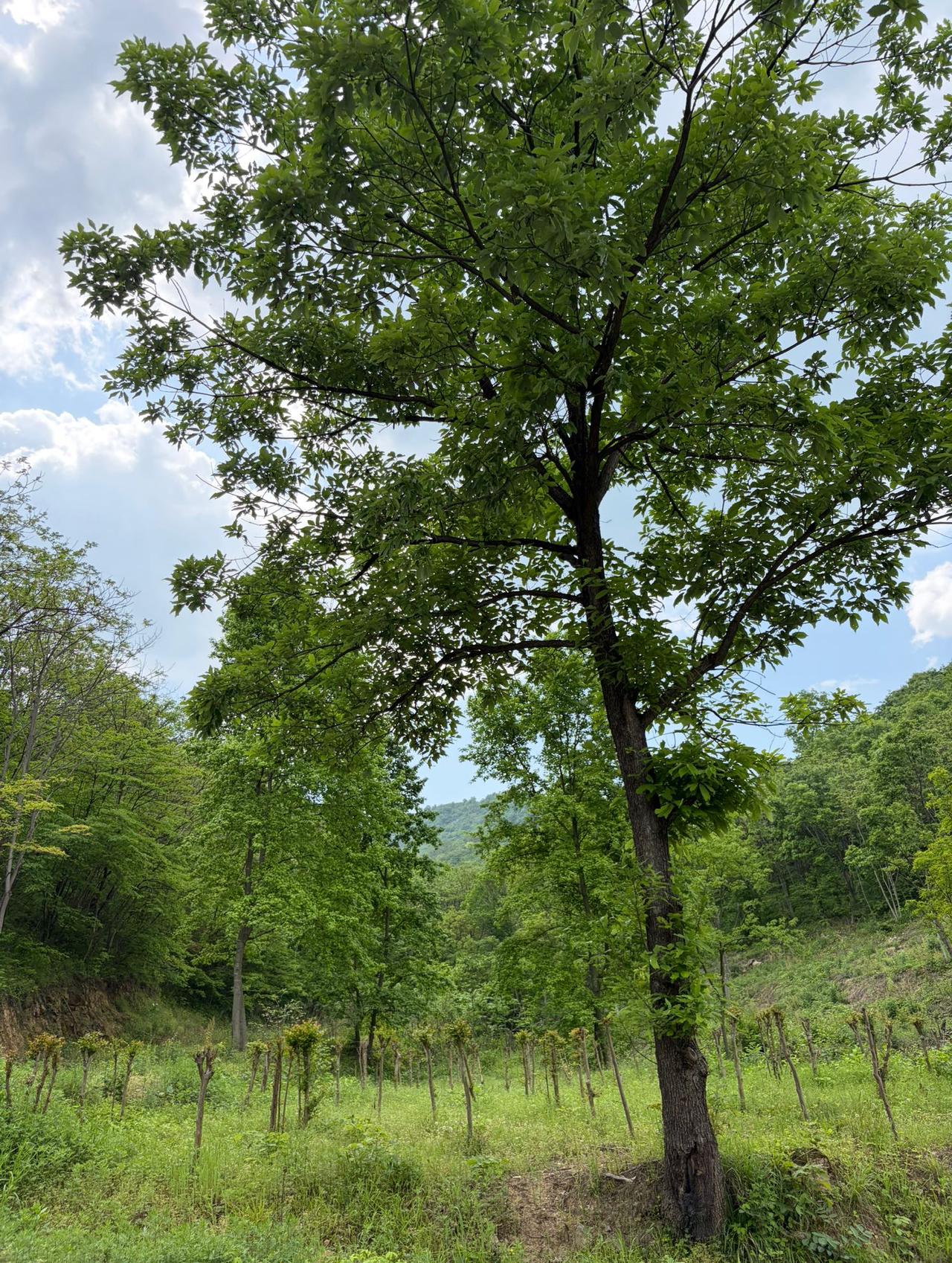 去年谷雨，我是真的没当回事。

觉得老一辈说的那些禁忌都是迷信，想脱秋裤就脱，想