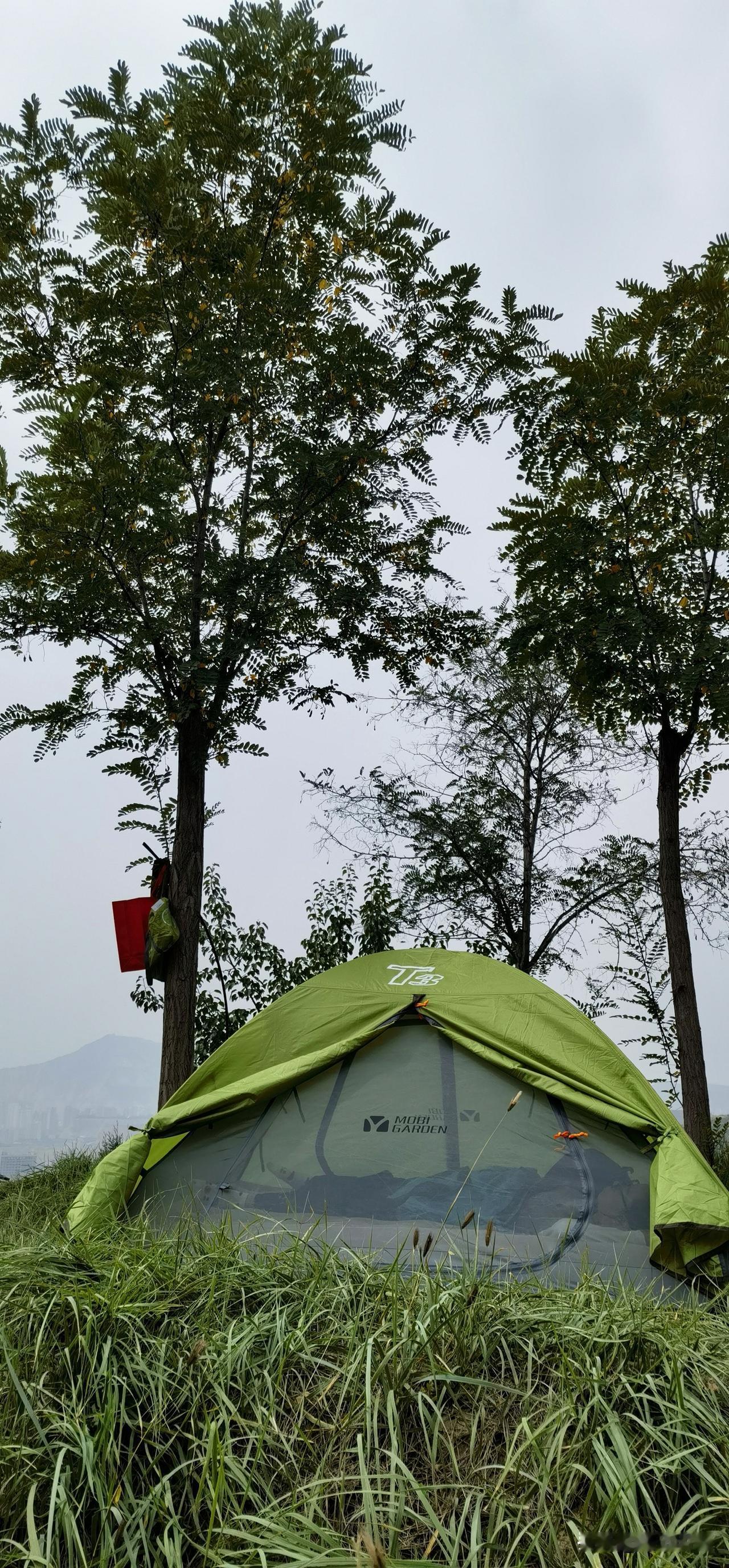 发一张你相册里最漂亮的照片 我相册里最漂亮的照片拍于一个春日午后的樱花树下。
那