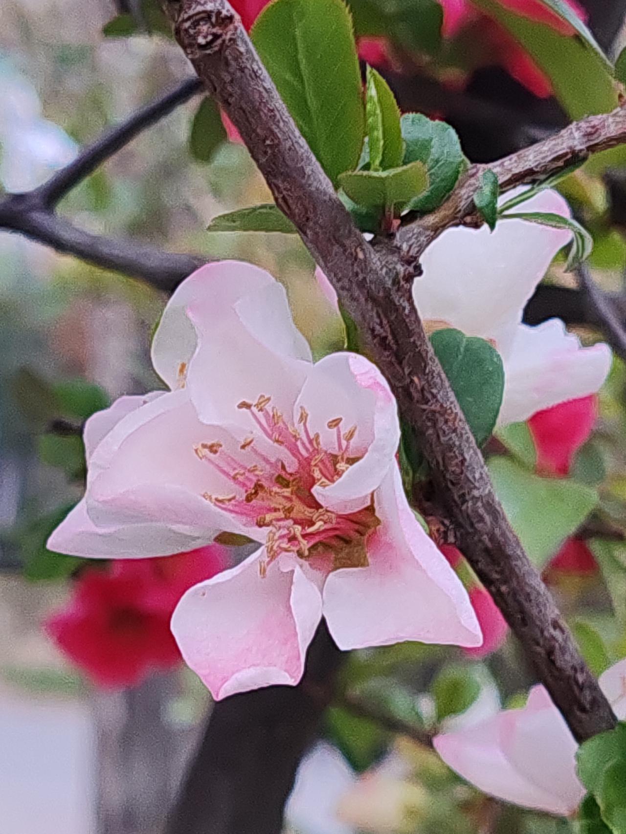 保险是什么？它就像是撒大网捞小鱼。谁能预知自己的未来呢？为了避免将来成为那条“小