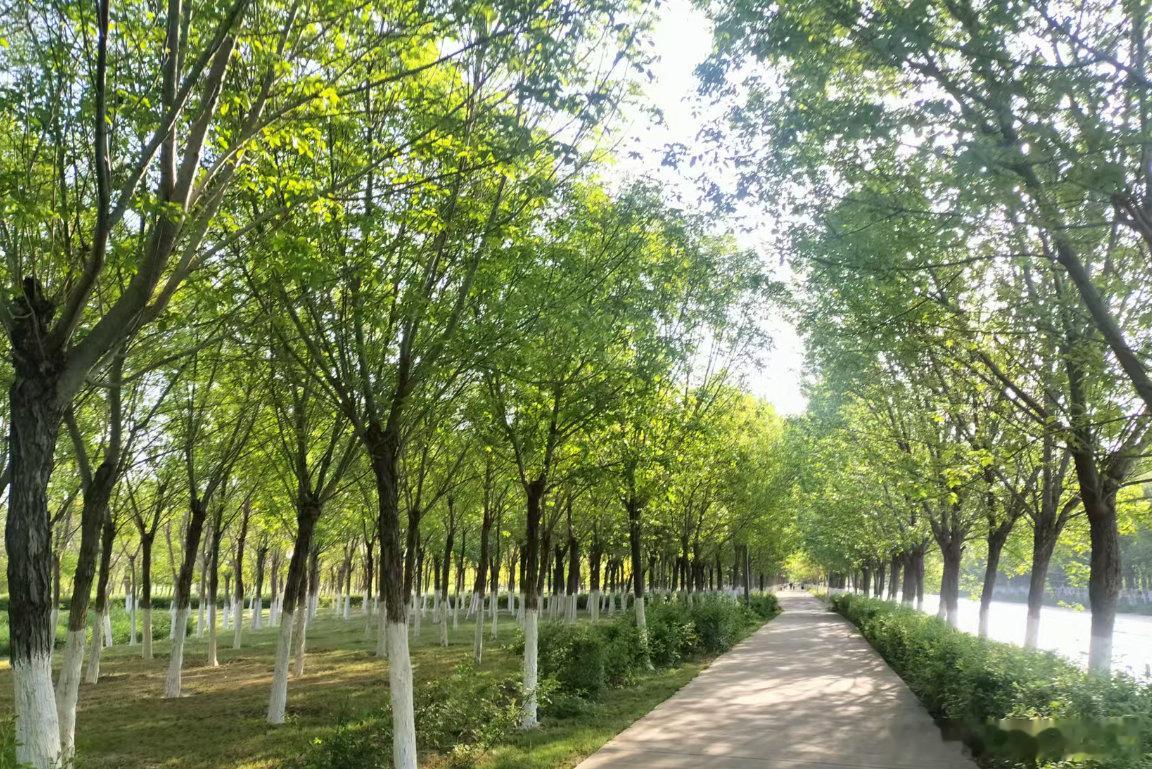 今天想去这个湿地公园转一转，最高气温27度，是不是可以穿短袖出门啦 