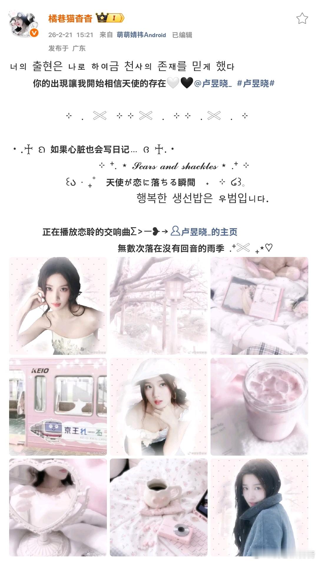 案例➕3  专栏 · 置顶排版🔝