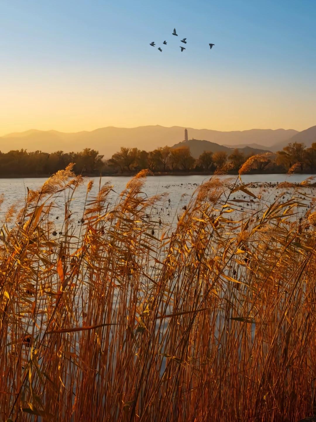 分享一张美丽的风景照