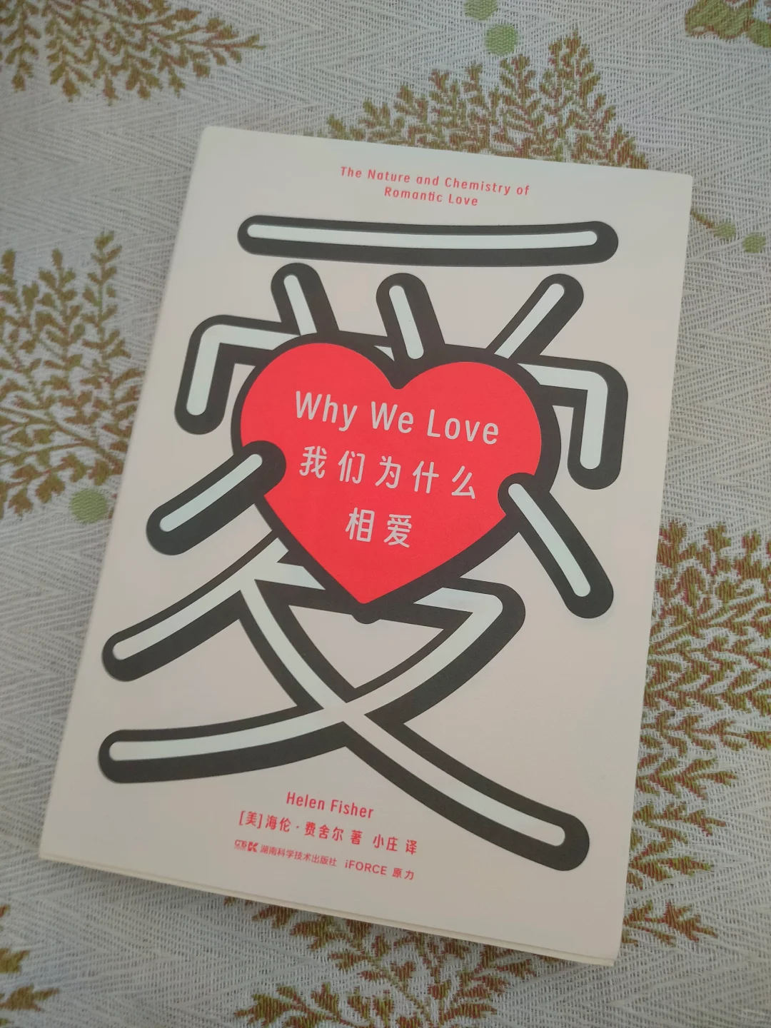 💕相爱的科学