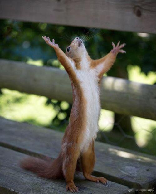 ヽ⁠(⁠｡⁠◕⁠o⁠◕⁠｡⁠)⁠ﾉ⁠.cr.Wonderland1t92026l