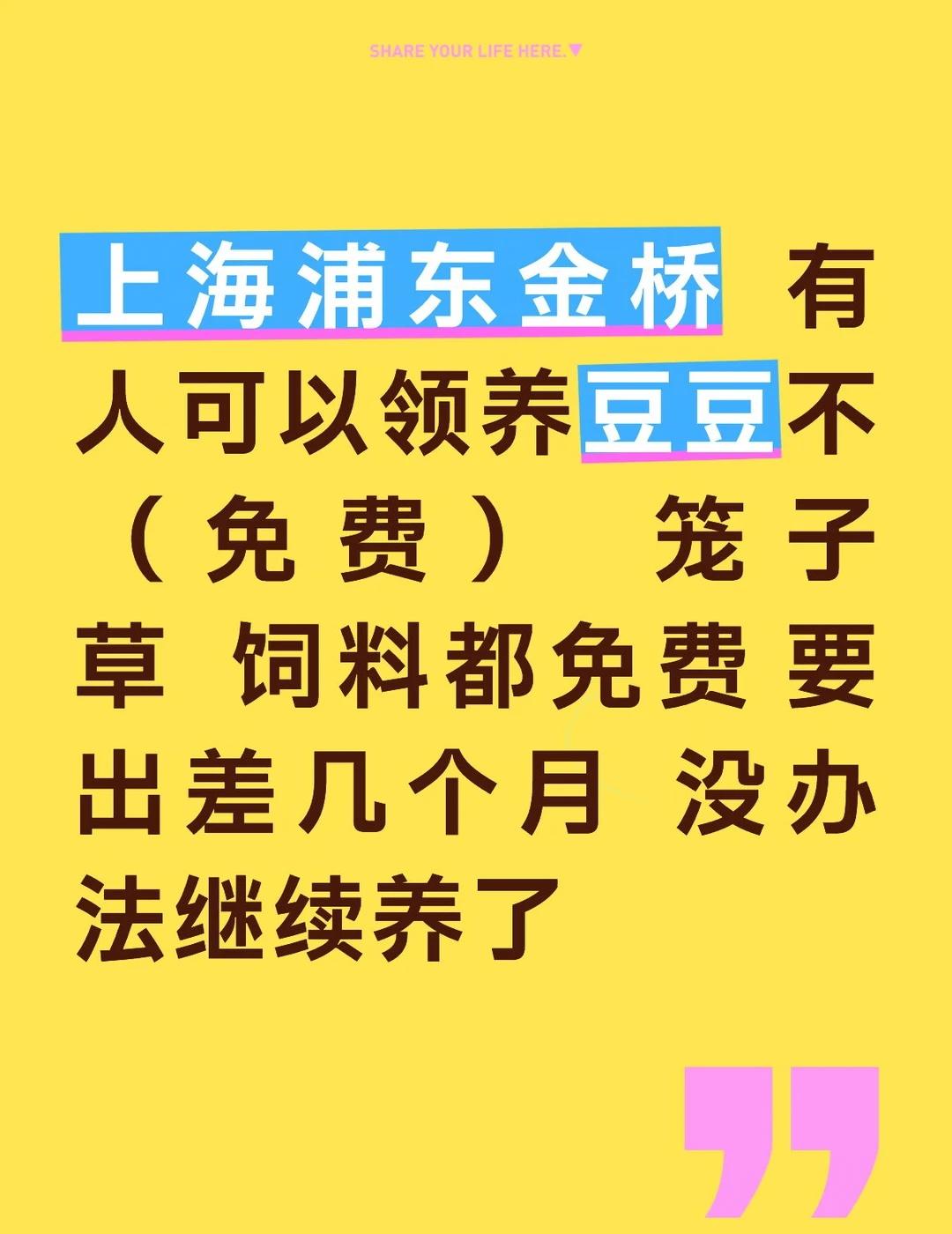 兔子领养
上海浦东金桥  有人可以领养豆豆不（免费）   笼子  草  饲料都免