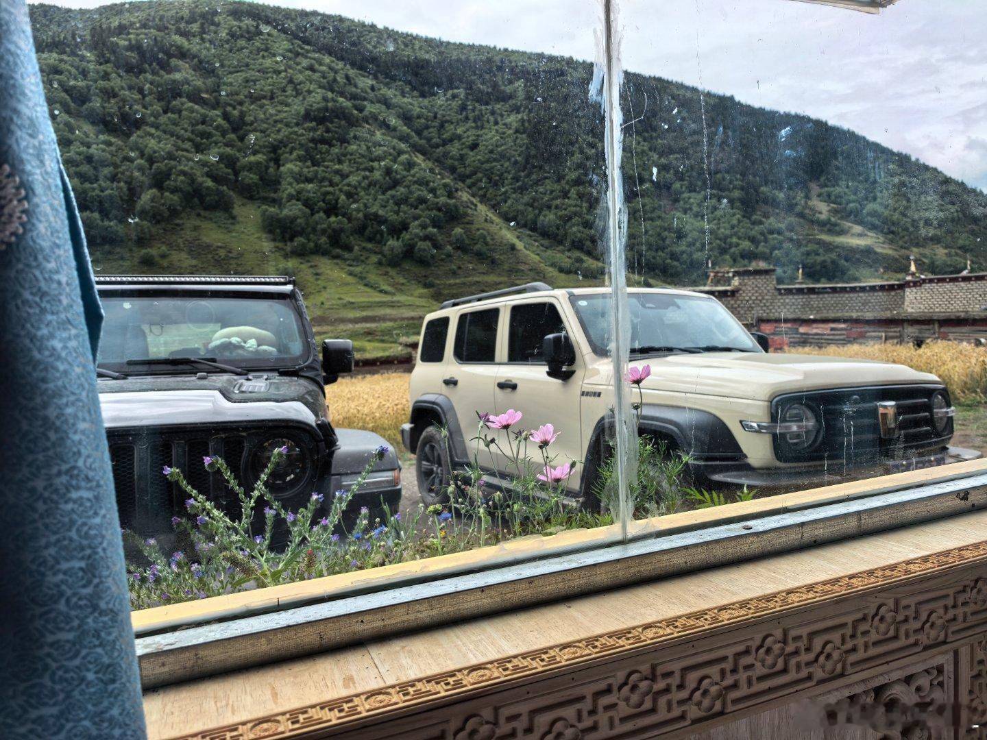 九三盛大阅兵住在大山里，没有网。手机信号也断断续续，完全看不了阅兵。给你们看看我