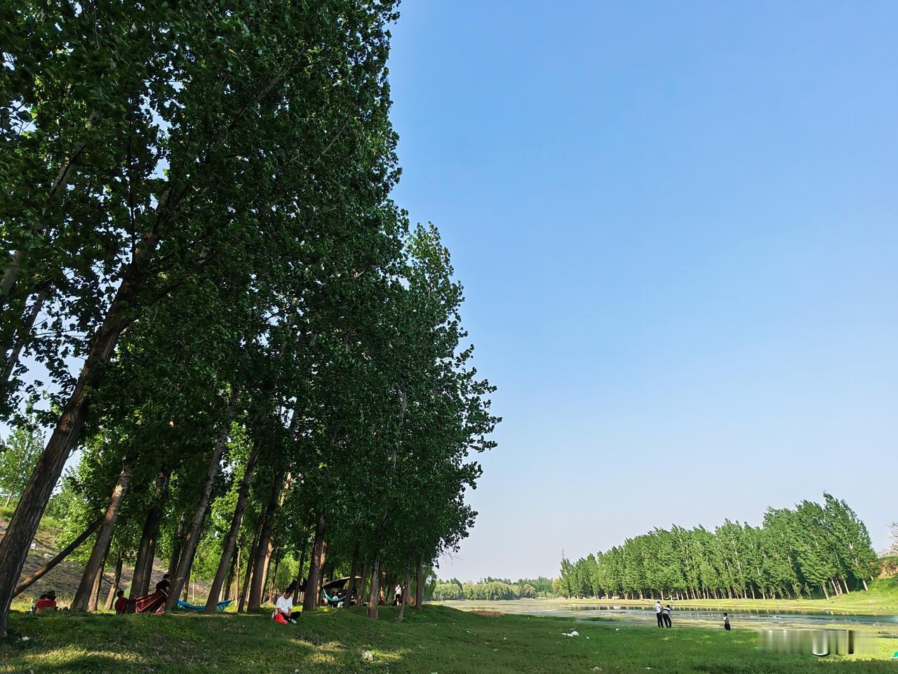 河边的风景如此怡人，是春天的明媚，是夏日的绚丽，是秋天的丰收，是冬季的收藏。河流