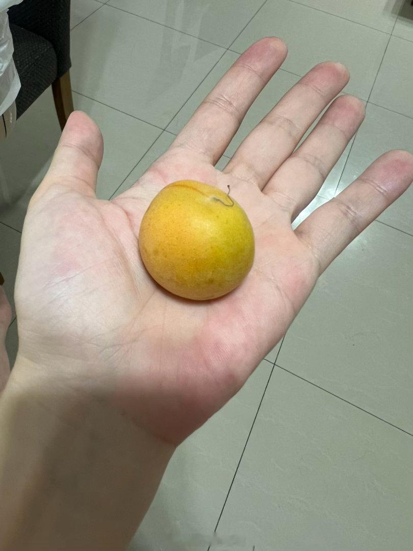 疫情投资损失几千万，以为自己的房子够抵债，结果房价腰斩，借给兄弟一堆钱，以为还有