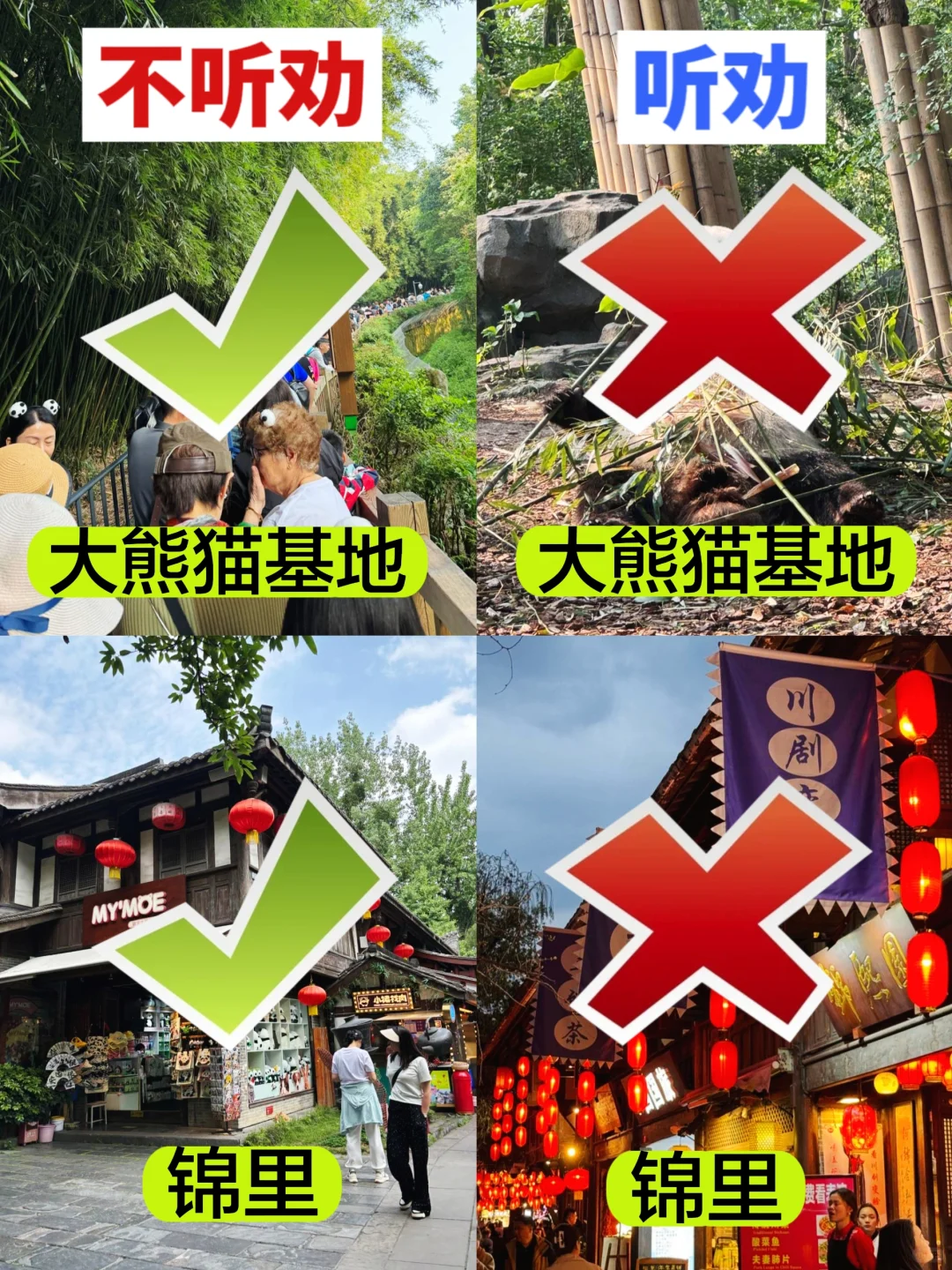暑假来成都要听劝‼️附详细3️⃣日游攻略