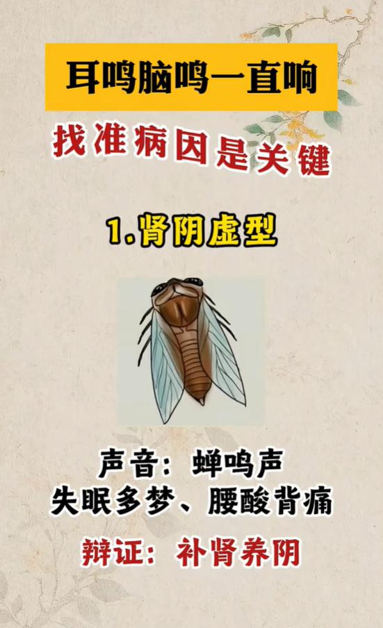 耳鸣脑鸣不停响，蝉鸣、轰鸣、嗡嗡响，对应不同调理思路