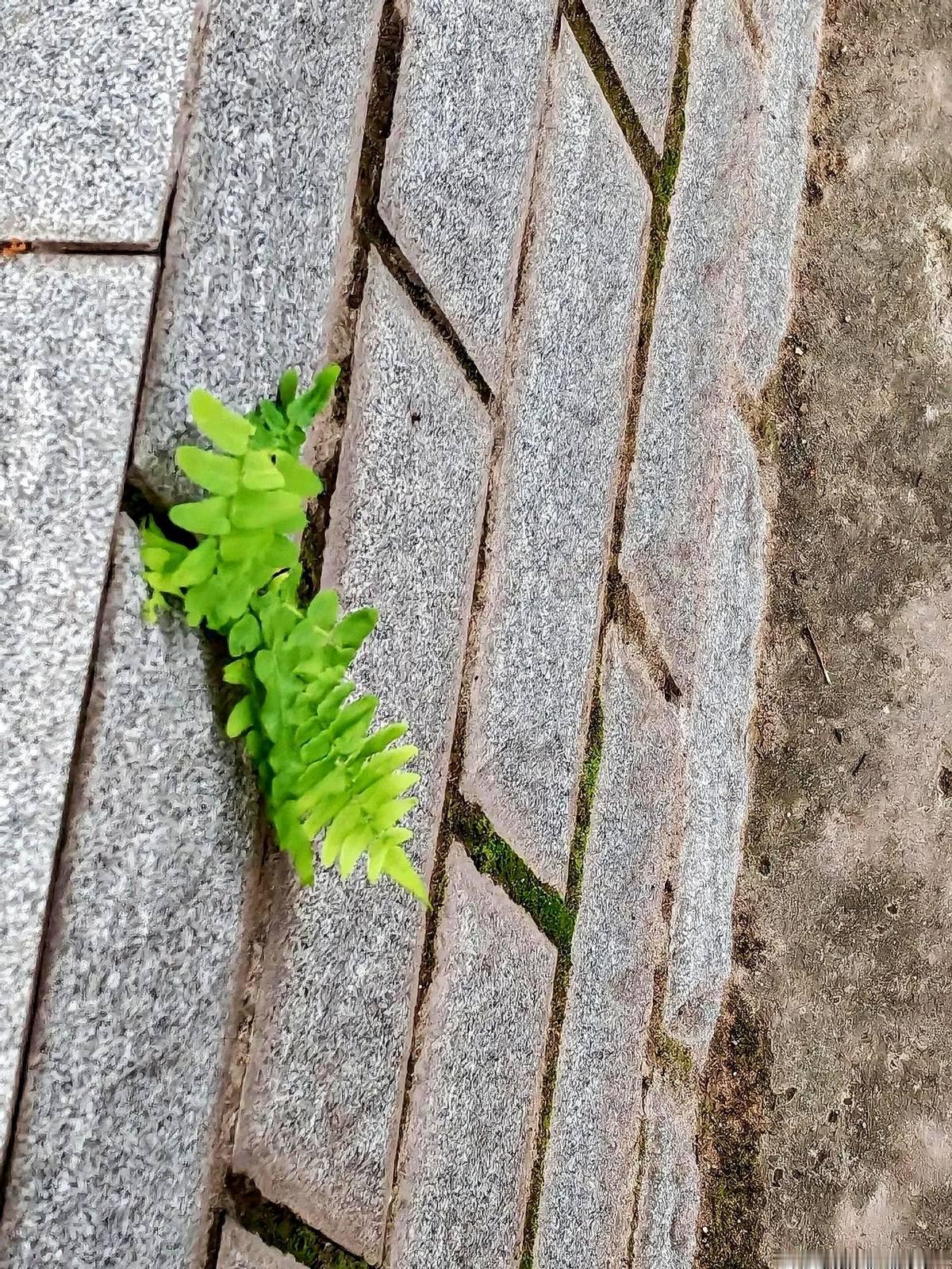 命都是越算越薄的，你看见哪个好人会去算命？但凡去算命的人
我又梦见别人家盖新房了