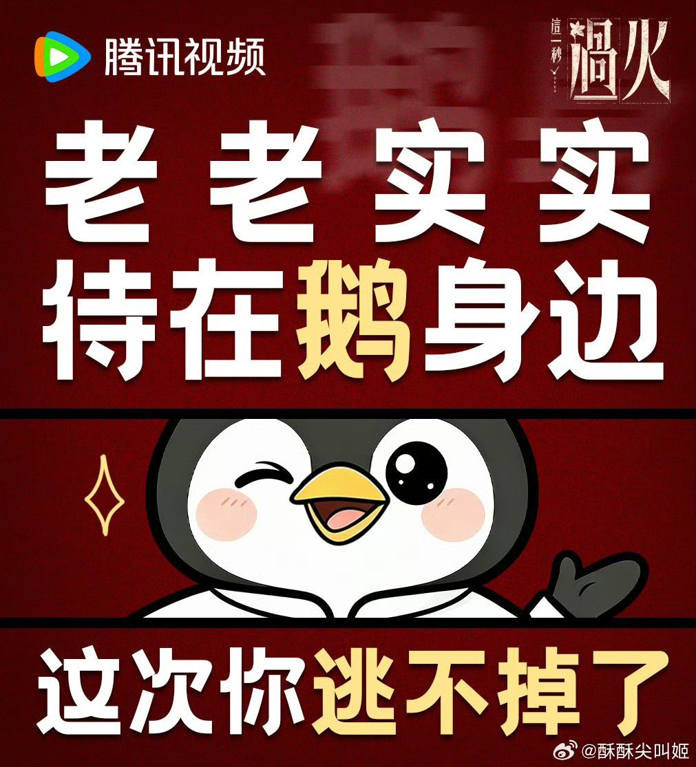 腾讯送张凌赫王楚然99999份追剧卡腾讯诚意拉满，九万九千九百九十九份追剧卡免费