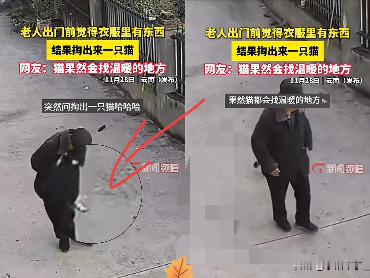 云南一位老人出门时，突然感觉大衣口袋里有东西在动，他以为是手机的震动，于是将手伸