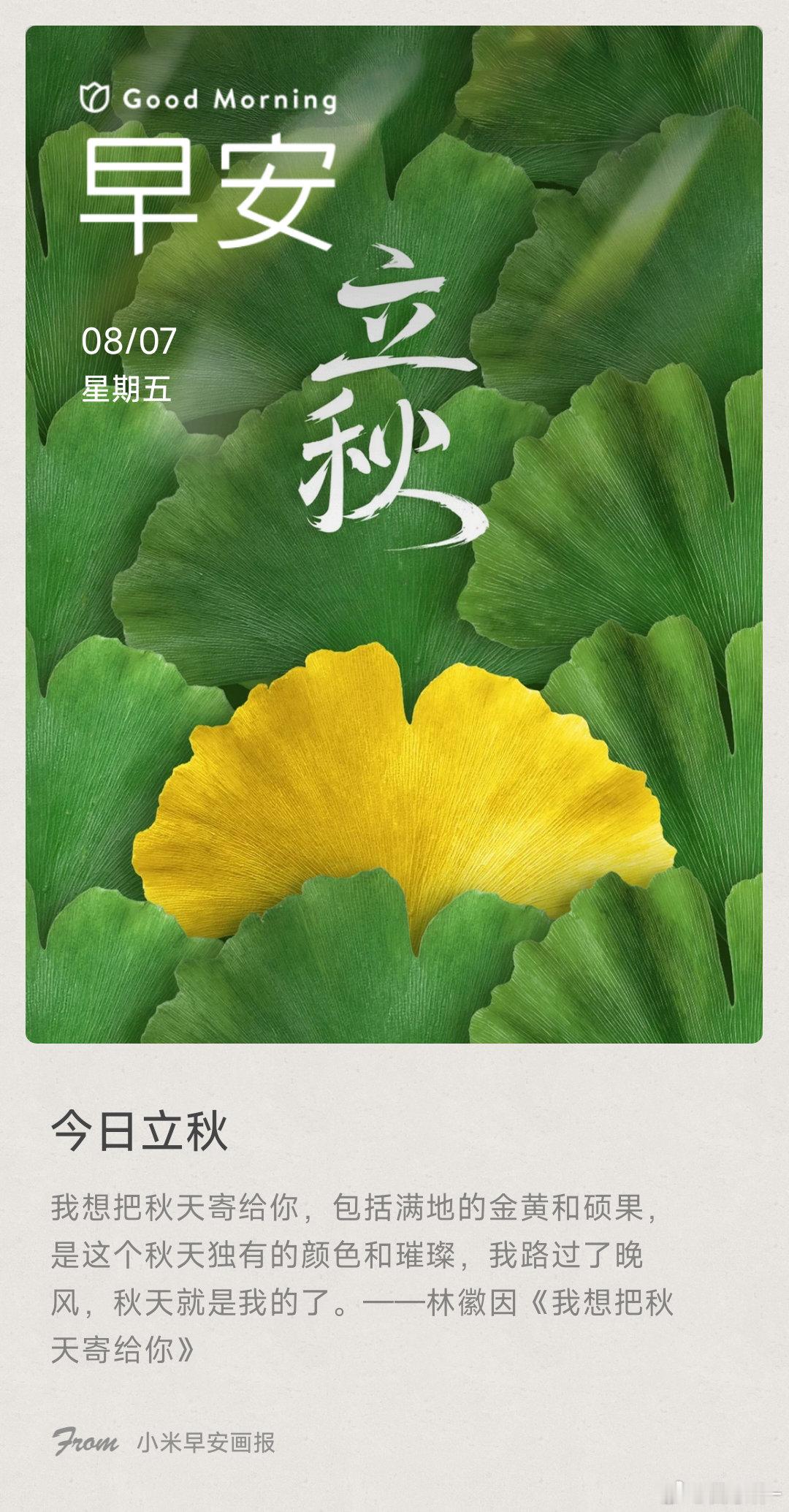 今日立秋： 我想把秋天寄给你，包括满地的金黄和硕果，是这个秋天独有的颜色和璀璨，