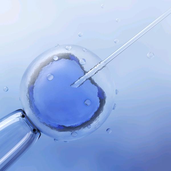 做试管婴儿最高补贴1万元！荆门这项政策明年1月1日起施行，生娃成本大降！


近