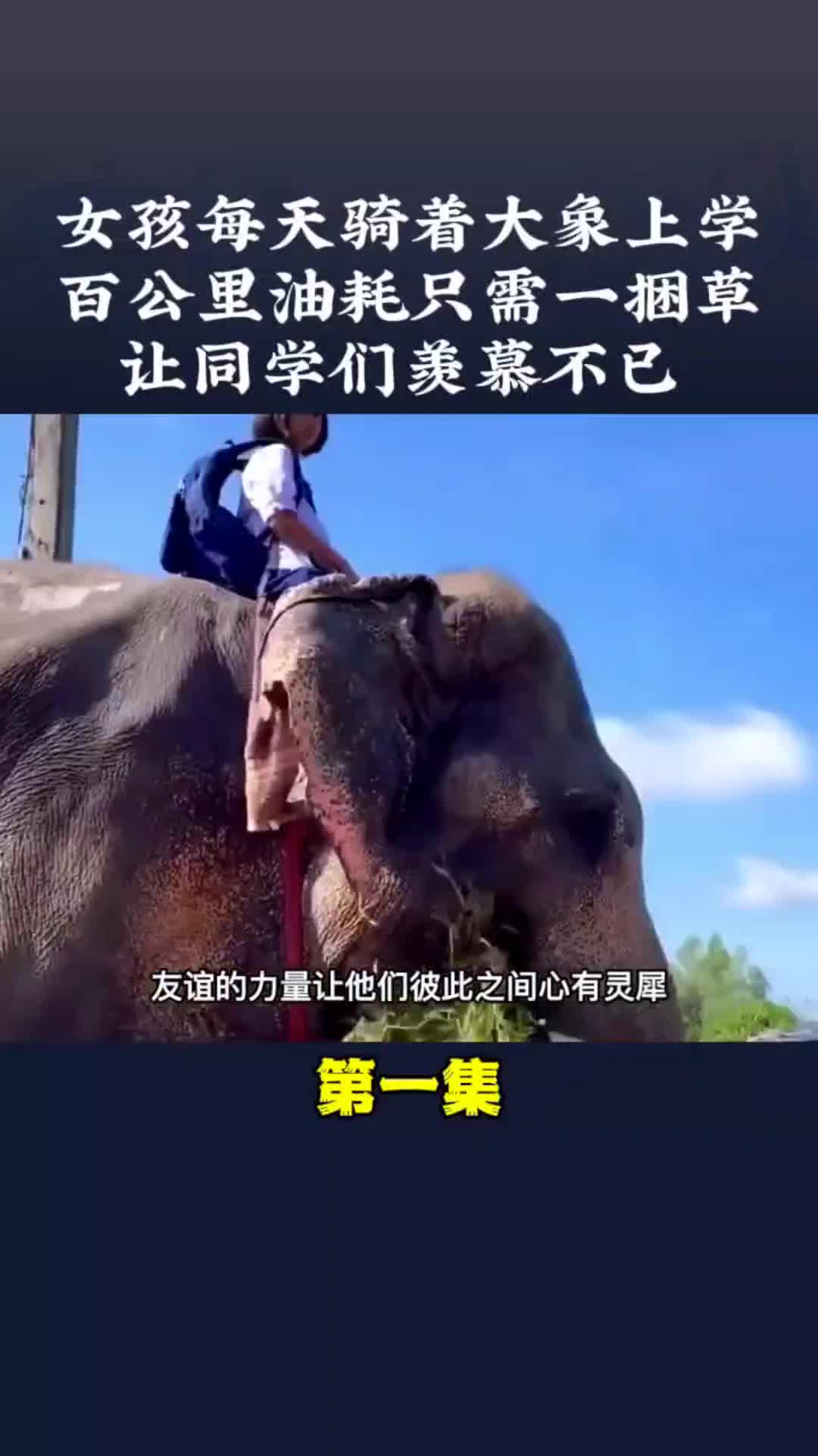 动物世界 野生动物零距离 内容启发搜索  万物皆有灵 我的乡村生活