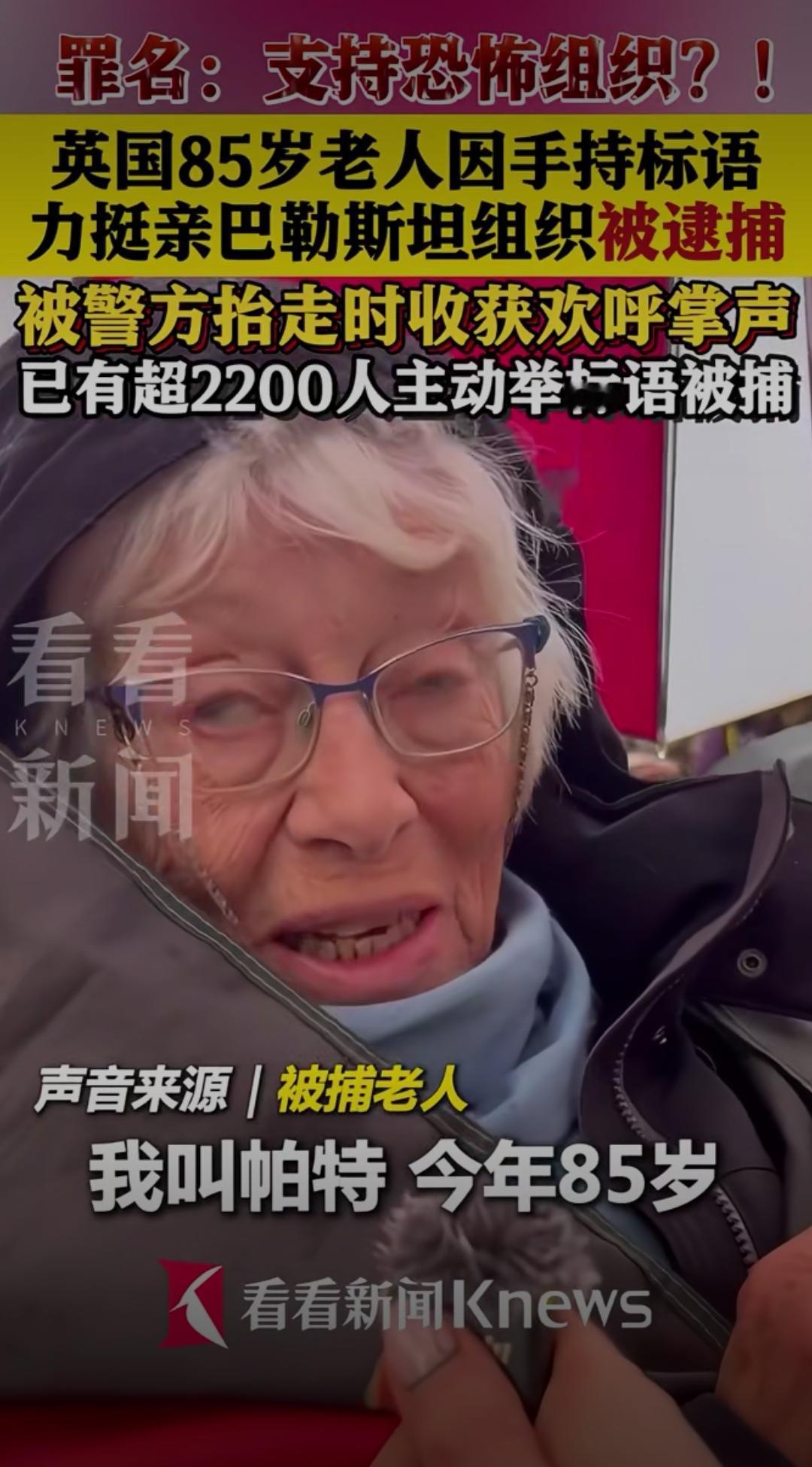 罪名：支持恐怖组织？英国85岁老人举牌挺巴勒斯坦被捕，2200人主动"送拘"炸翻