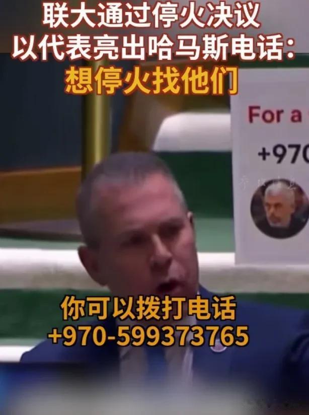 以色列代表强硬表态：想停火找哈马斯！
就在昨天，12月12日，联合国大会召开紧急