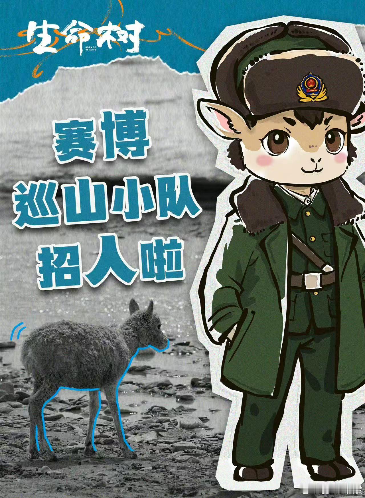 杨紫找赛博巡山搭子杨紫招巡山搭子杨紫找赛博巡山搭子，有报名的吗，