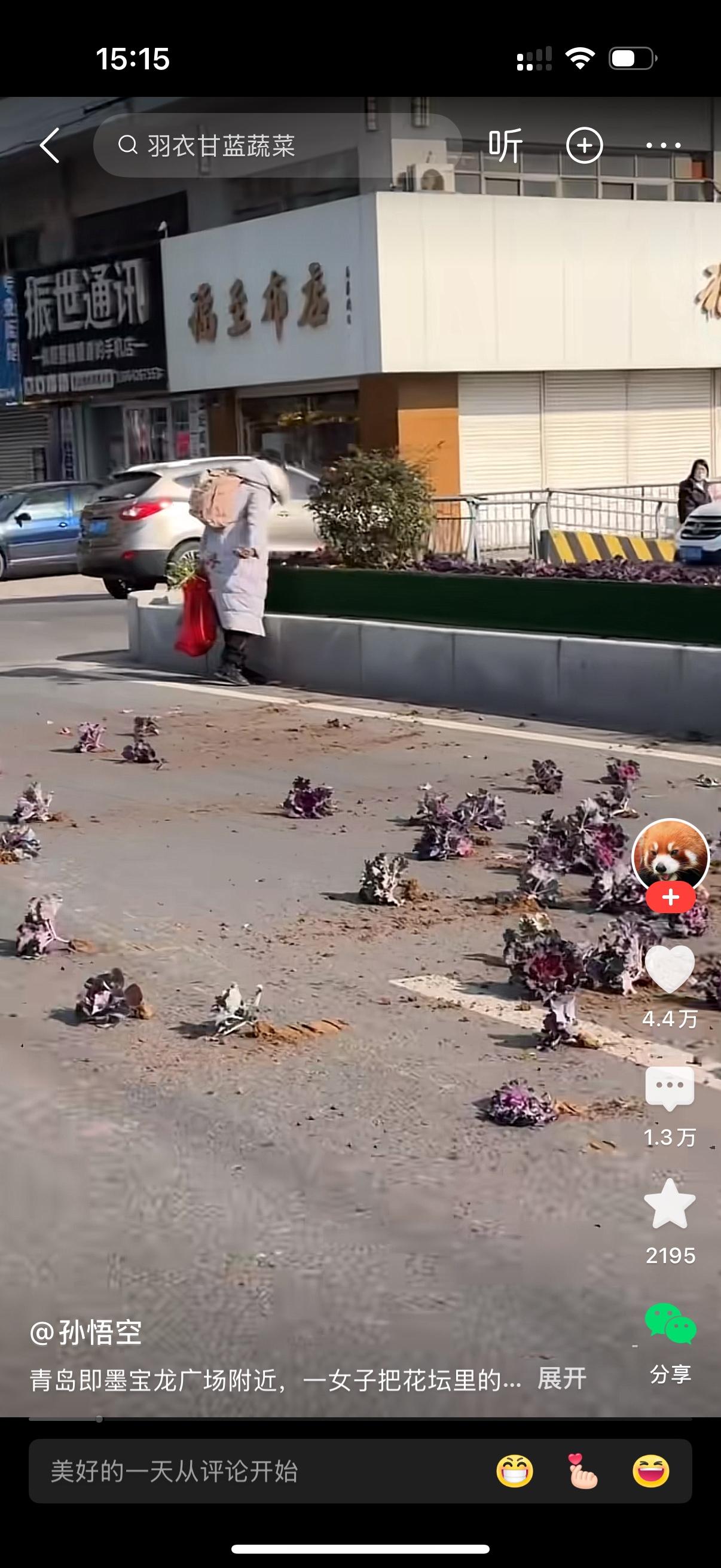 一位大姐不知道哪根筋搭错了，对着公共花坛一顿疯狂输出，把里面开得正艳的花全薅下来