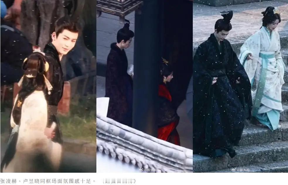 张凌赫《刺棠》路透曝光， 单手搂女主肌肉感炸场 ​​​