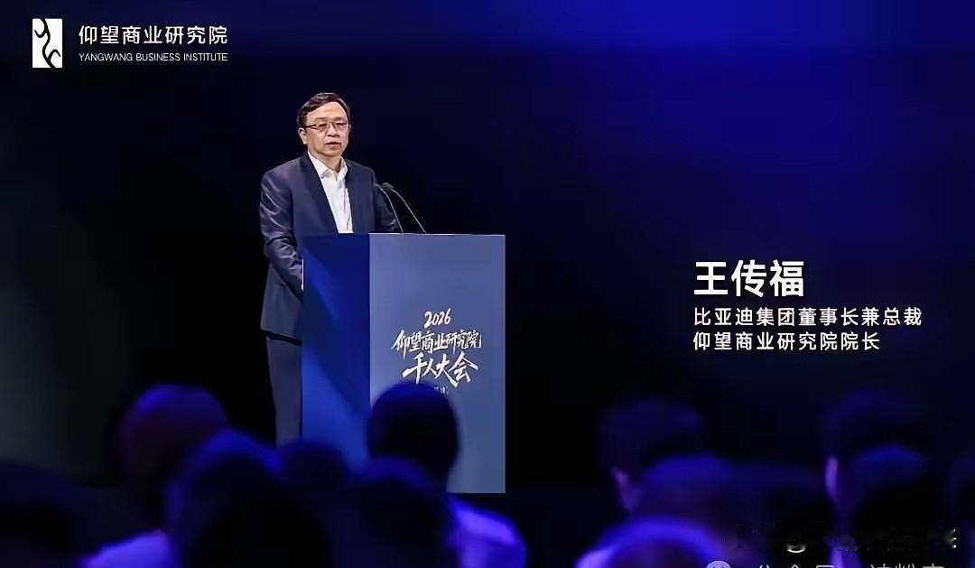 王传福的保守，救了整个中国电动车产业

2022年9月，一场论坛上，王传福说了一
