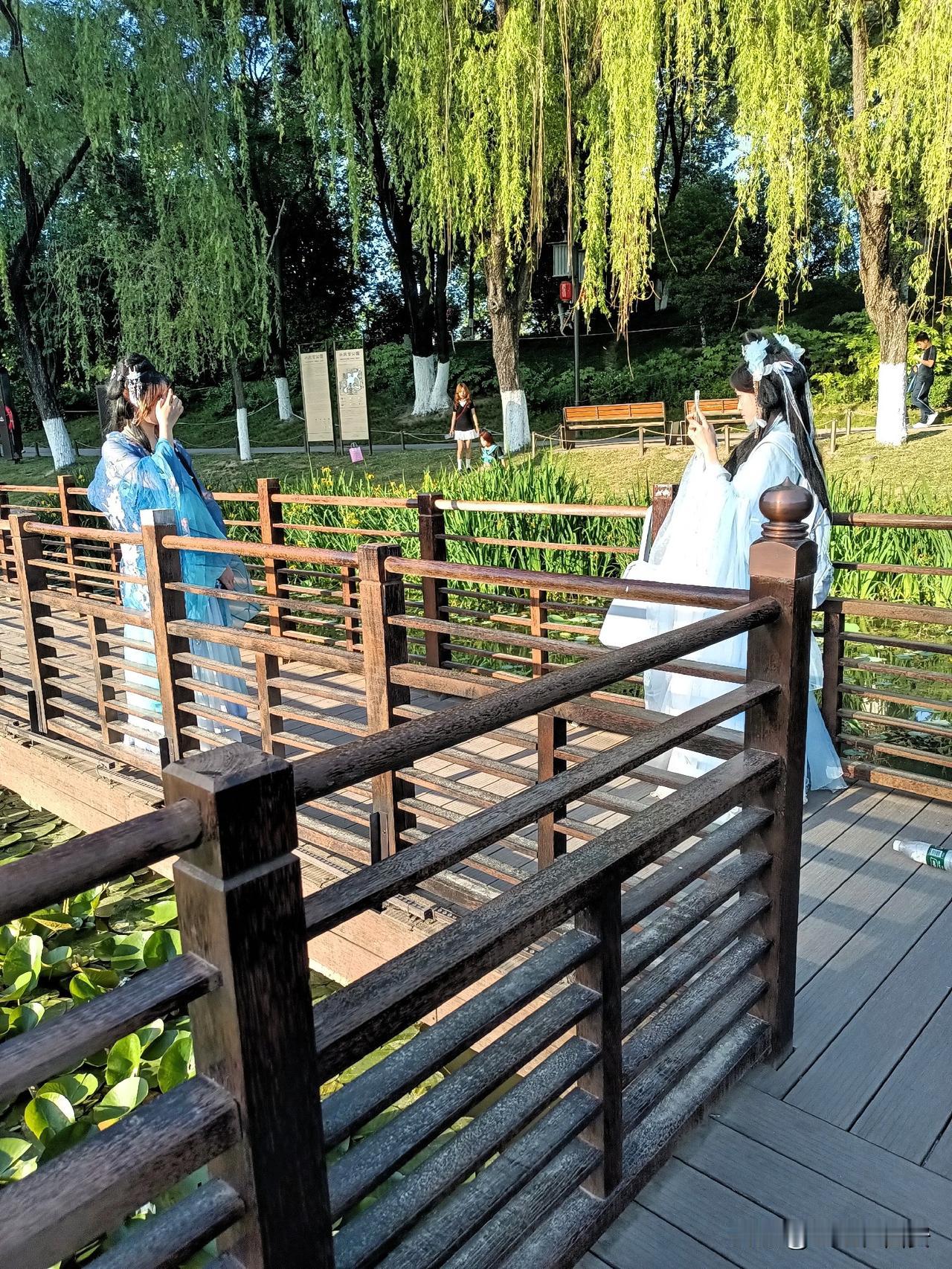 晒图笔记大赛 随手拍花草。 随手拍 分享你随手拍的风景