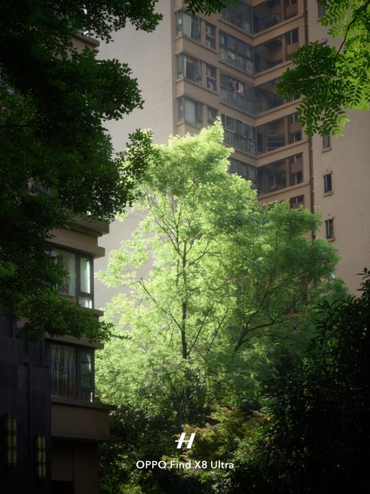 OPPO Find X8 Ultra用这个参数拍绿色绝了！
