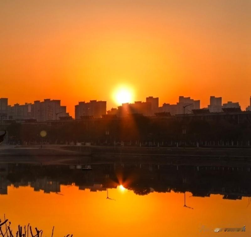 罗永浩指出，社会对中年人的容错率最低。同样的事若发生在青年、中年、老年身上，中年