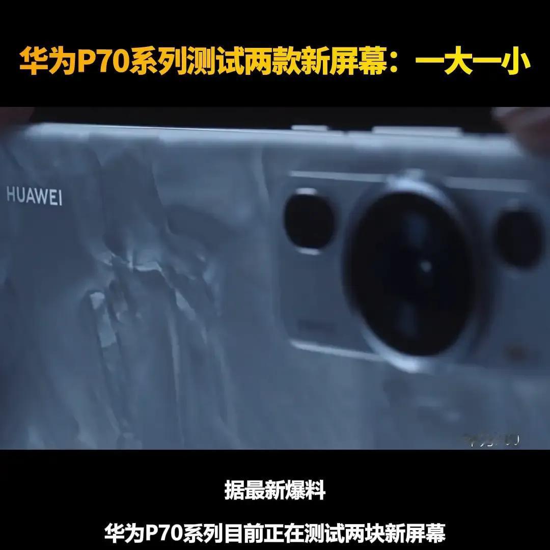 华为P70系列屏幕一大一小，“小屏”还是有市场的，不知道为什么菊花的屏幕越做越大