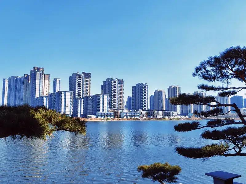 325项、10万人次、1.29万余家，成果突出！“数”说非遗绽放夺目新光彩 真正