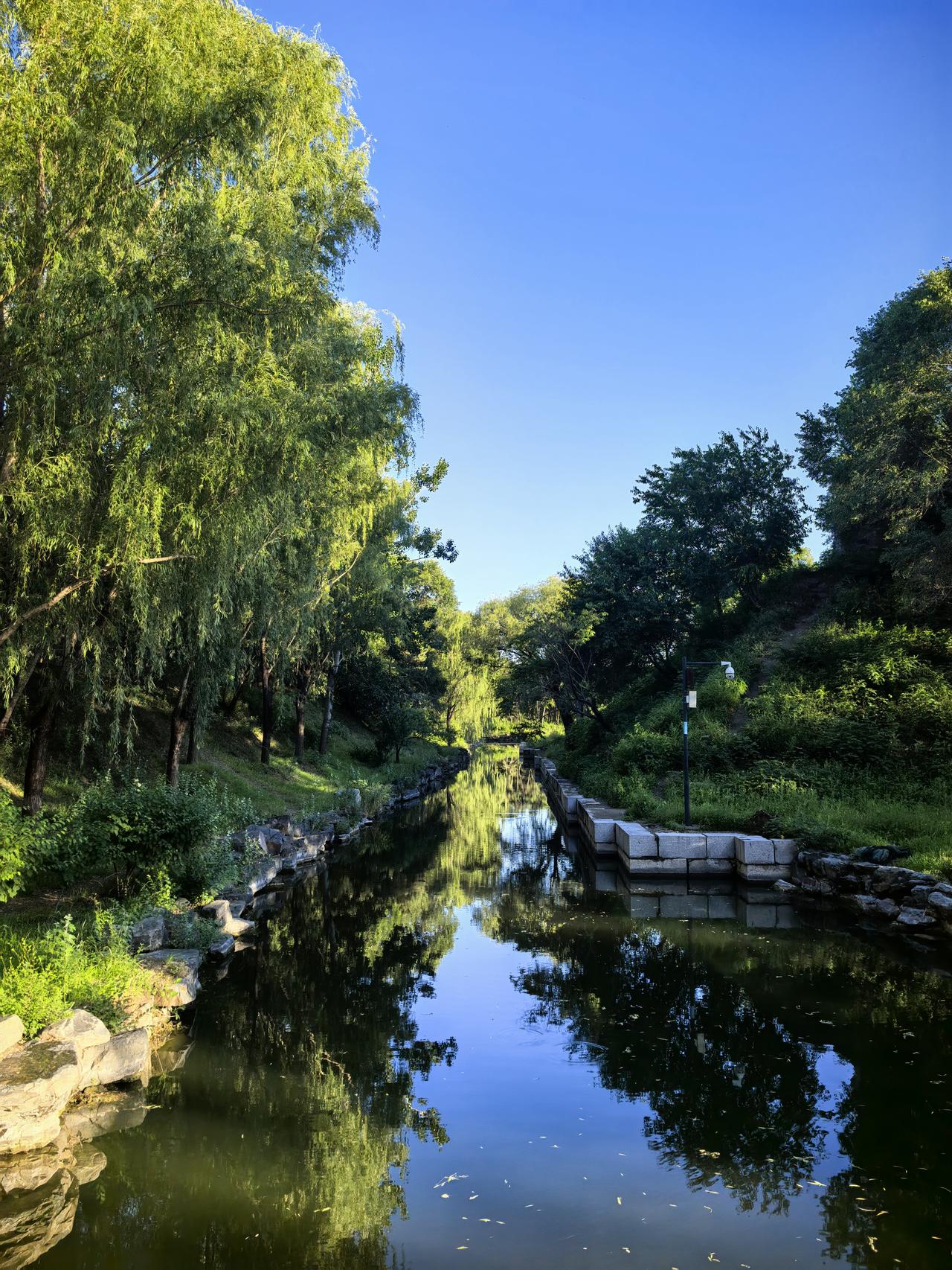 傍晚从圆明园的大北门进入，是一片安静而空灵的方寸，喧闹世界的净土
