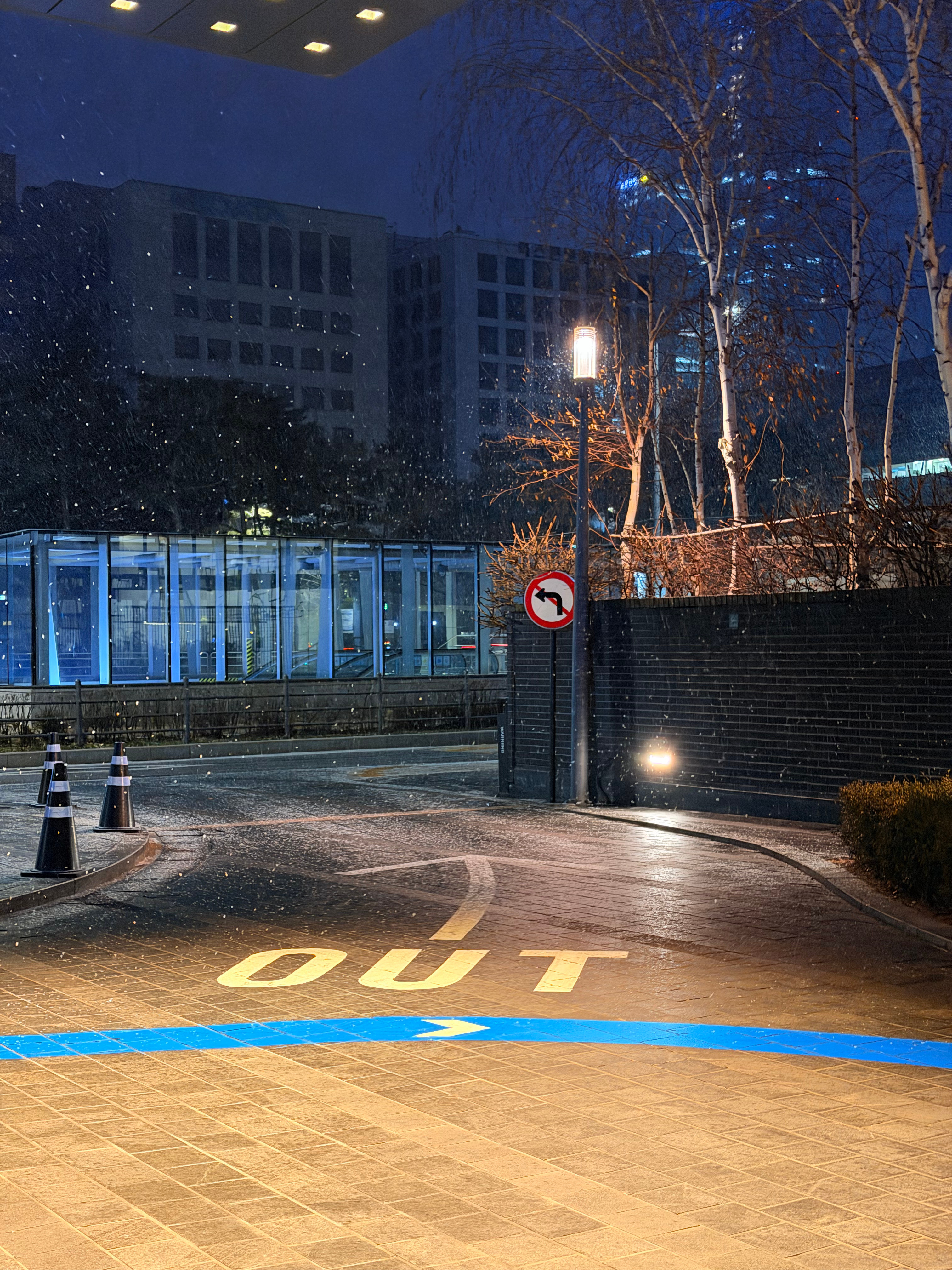 诡秘，今天有点忙，所以报备晚了。曹赛亚护牙行动