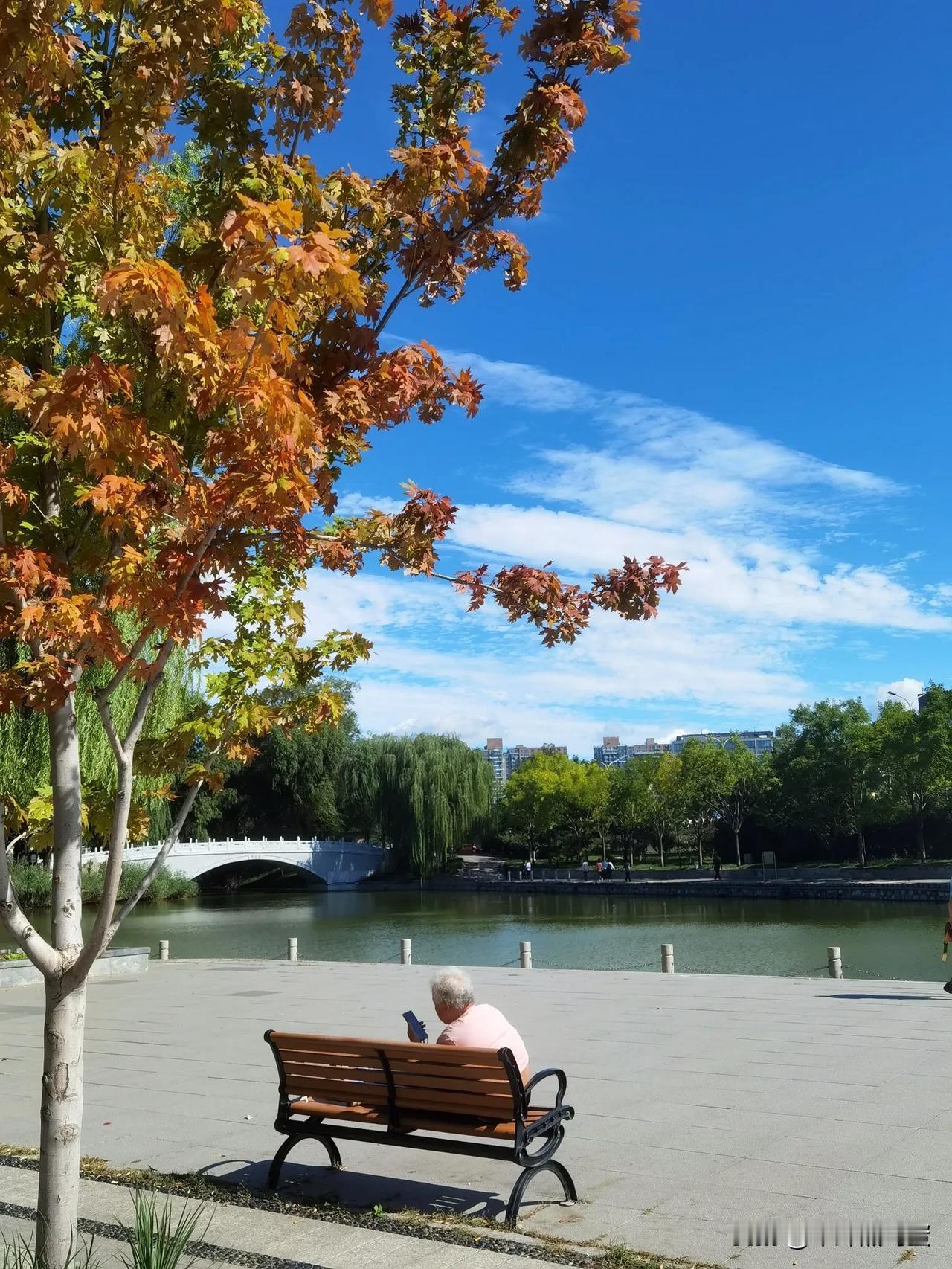 日赏云空丽
徬晚将霞期
荷花依旧艳
夕阳踪迷离
2024年9月14日的北京
阴云