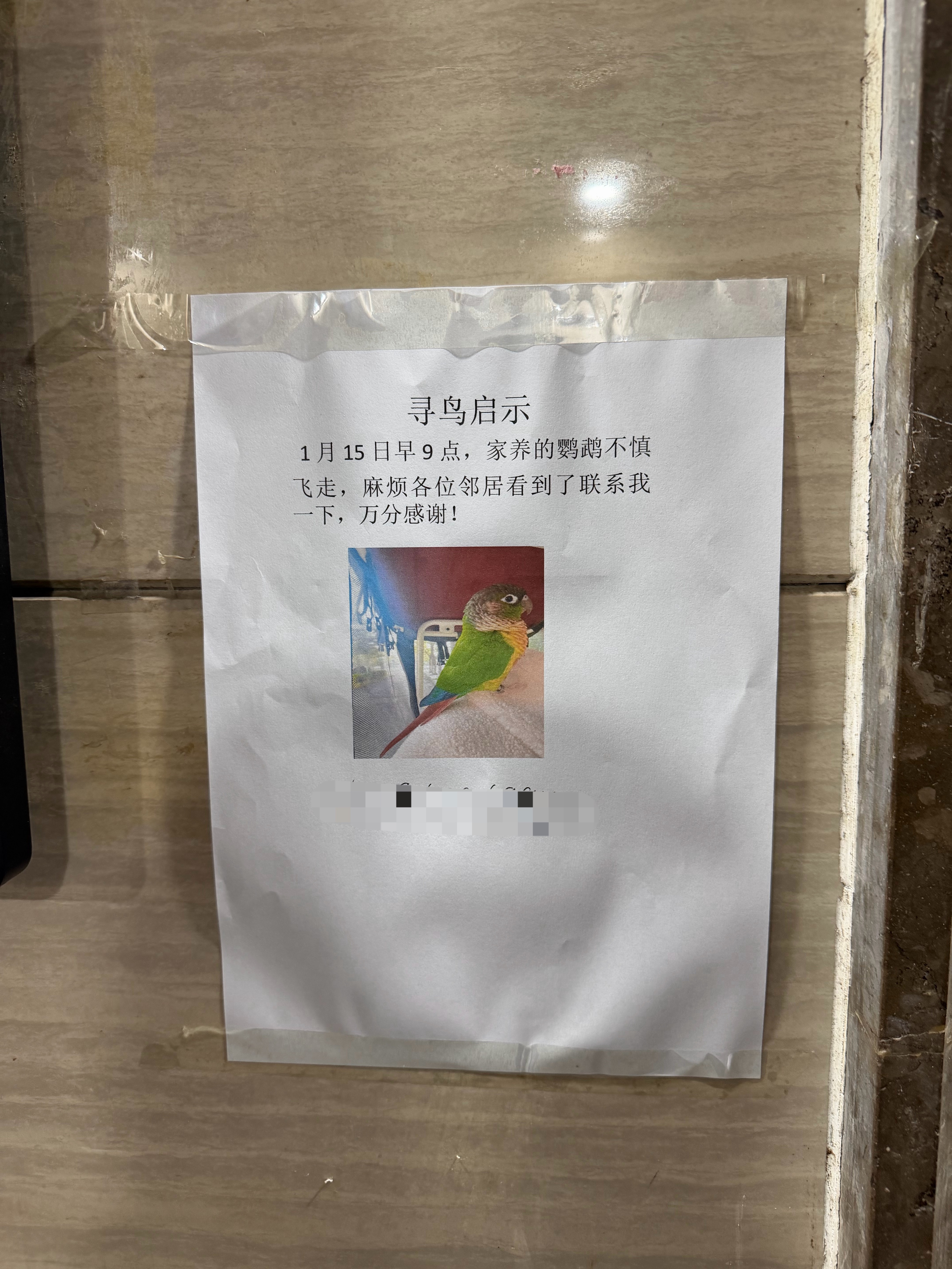 见过寻人启事、寻猫启事、寻狗启事，寻鸟启事第一次见，都飞走了，哪找去